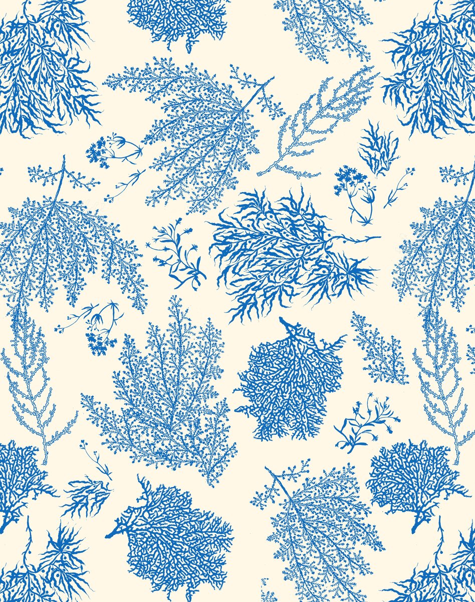 Atkins pattern
